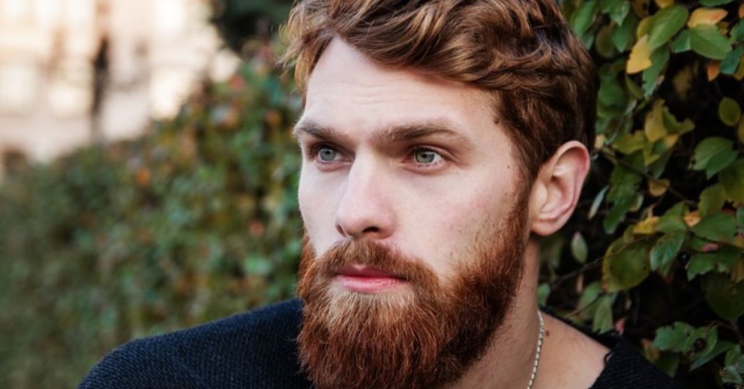 Mens best beard care products