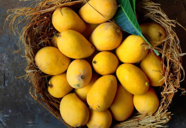 Kesar mango price