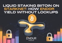 Liquid Staking Bitcoin on Starknet: How Endur Unlocks Yield Without Lockups liquid staking token Starknet
